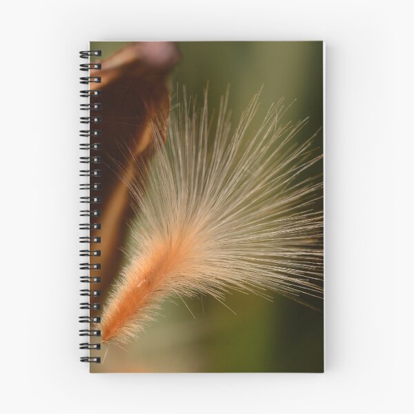 Item preview, Oleander Seed Silky Macro Closeup designed and sold by Goiko7Margarita.