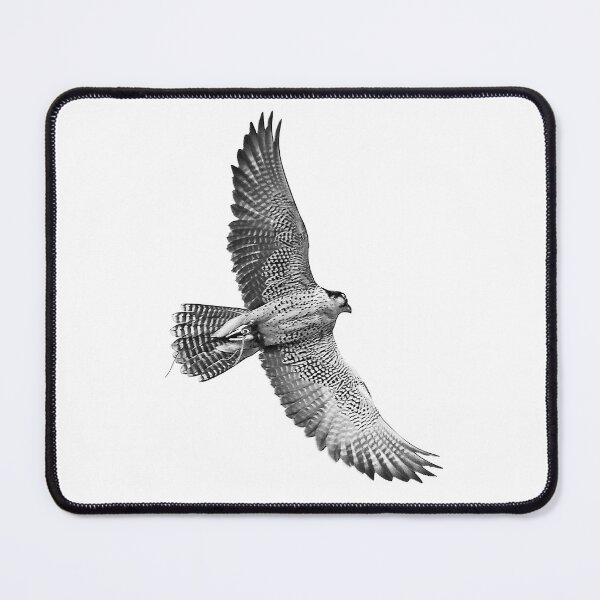 Item preview, peregrine designed and sold by Murph's Images.