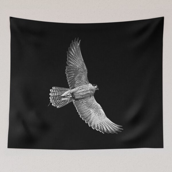 Item preview, peregrine designed and sold by Murph's Images.