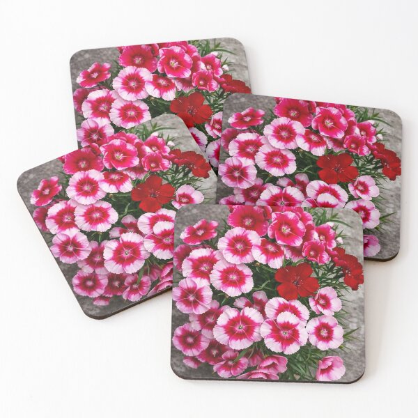 Item preview, Radiant Pink and Red Dianthus Blooms designed and sold by Dreamy Armine Art.