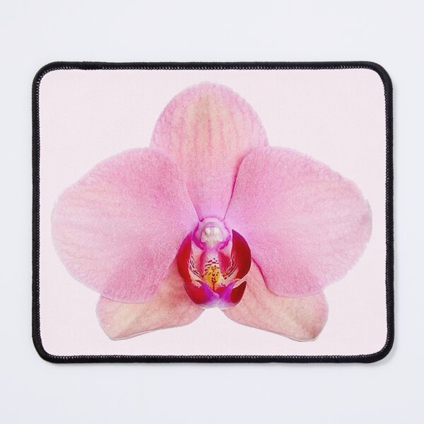 Item preview, pink pastel orchid flower sticker designed and sold by inainart.