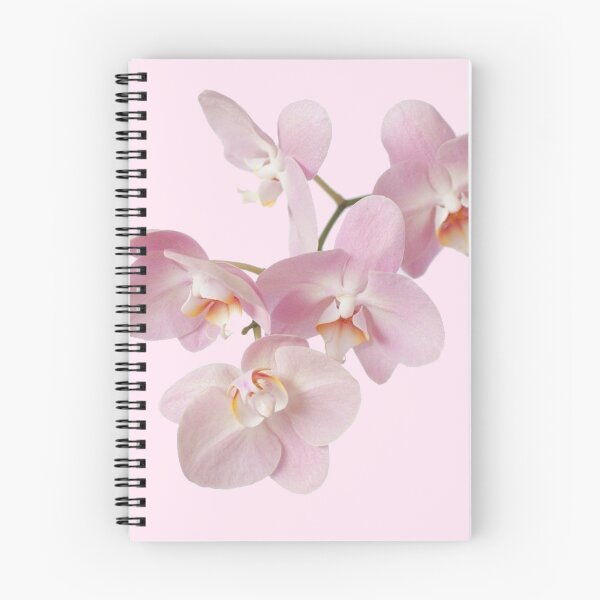 Item preview, pink orchid on stem flower sticker  designed and sold by inainart.