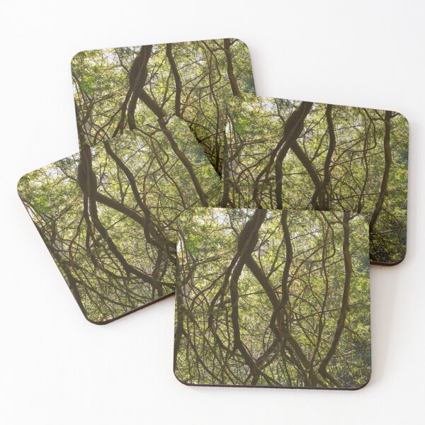 Item preview, Surrey Woodland Trees | England UK Forest Nature Photography | Countryside Landscape Print designed and sold by ThatSurreyLife.