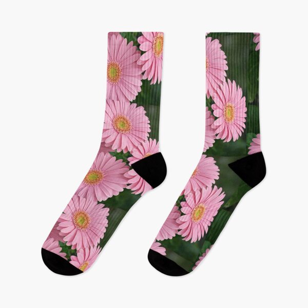 Item preview, Four Radiant Pink Gerbera Daisies in Bloom designed and sold by Dreamy Armine Art.