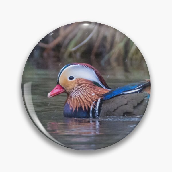 Item preview, Mandarin Duck designed and sold by LaurenTucker.