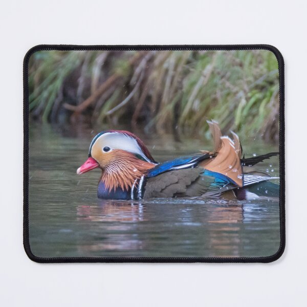 Item preview, Mandarin Duck designed and sold by LaurenTucker.