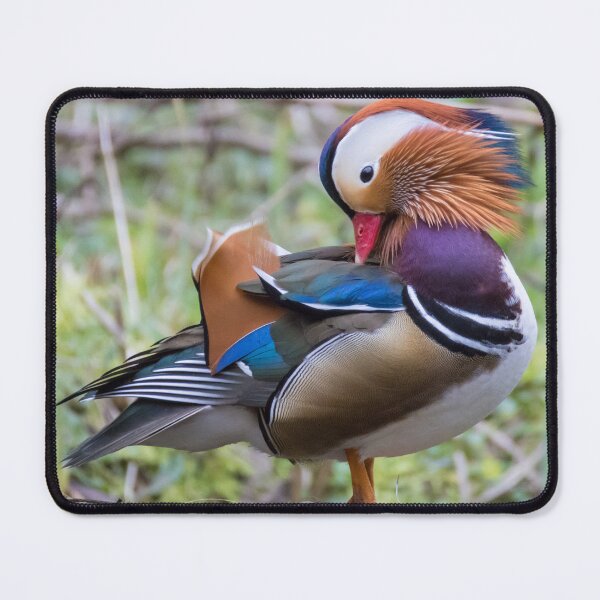 Item preview, Mandarin Duck designed and sold by LaurenTucker.