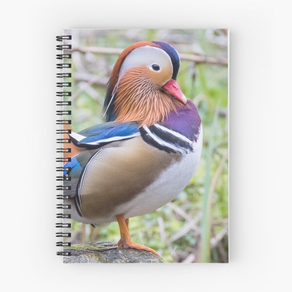 Item preview, Mandarin Duck designed and sold by LaurenTucker.