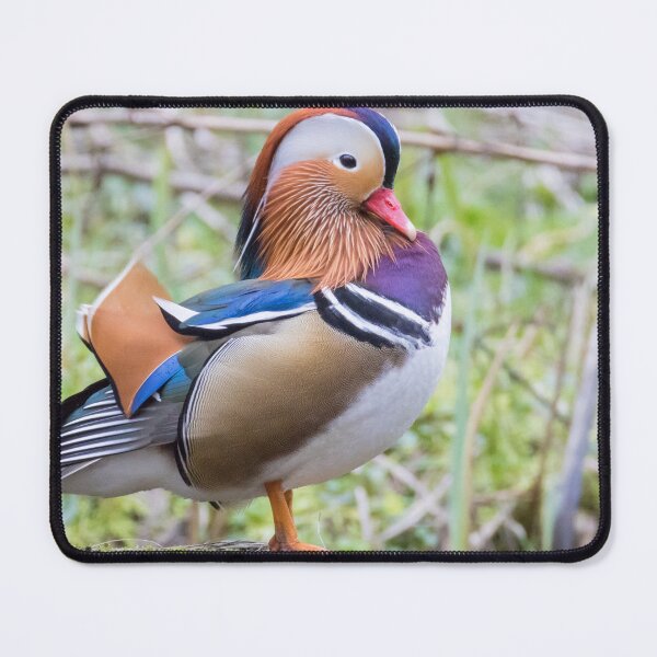 Item preview, Mandarin Duck designed and sold by LaurenTucker.