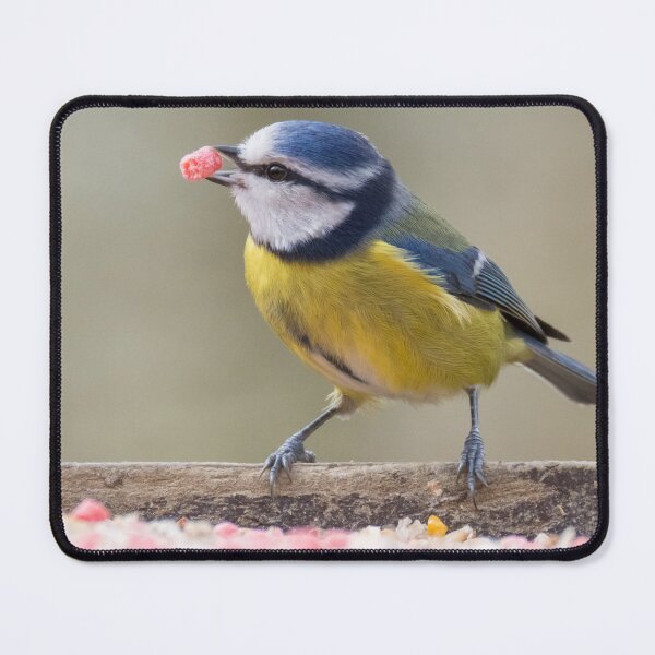 Item preview, Eurasian Blue Tit designed and sold by LaurenTucker.