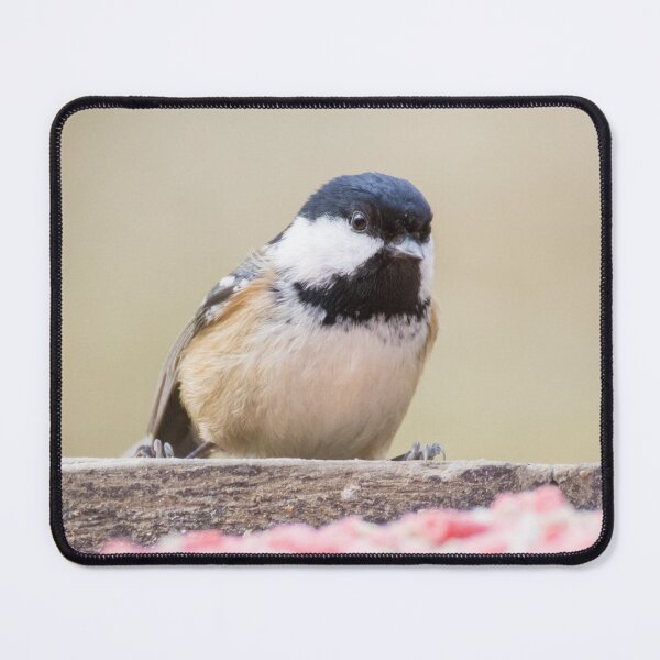 Item preview, Coal Tit designed and sold by LaurenTucker.