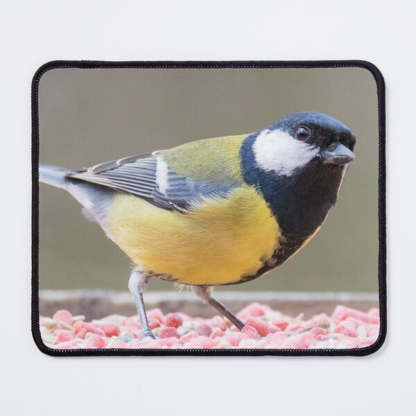 Item preview, Great Tit designed and sold by LaurenTucker.