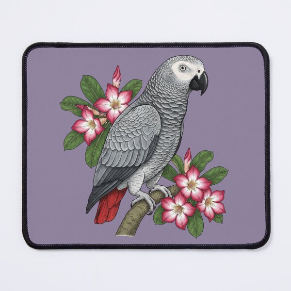 Item preview, African Grey Parrot and Desert Rose Botanical Illustration designed and sold by BirdsnStuff.