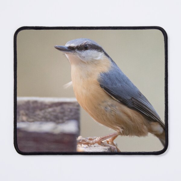 Item preview, Eurasian Nuthatch designed and sold by LaurenTucker.