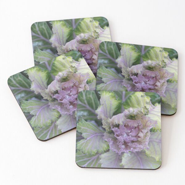 Item preview, Green plant in winter garden designed and sold by olena2552.
