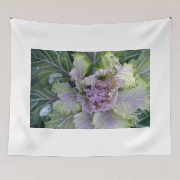 Item preview, Green plant in winter garden designed and sold by olena2552.