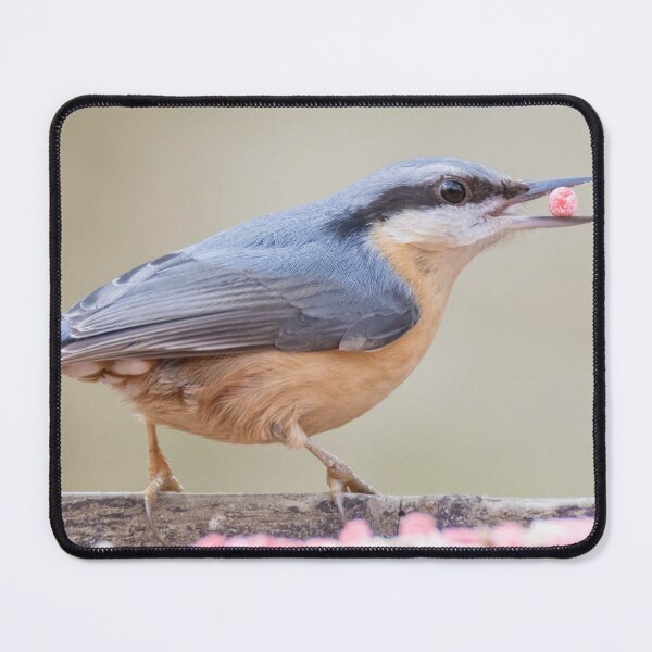 Item preview, Eurasian Nuthatch designed and sold by LaurenTucker.