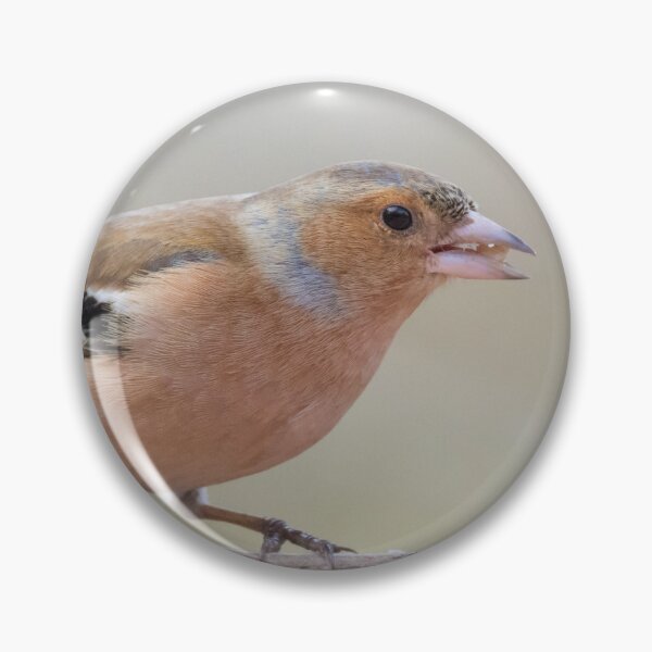 Item preview, Common Chaffinch designed and sold by LaurenTucker.