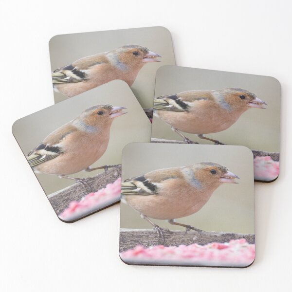 Item preview, Common Chaffinch designed and sold by LaurenTucker.
