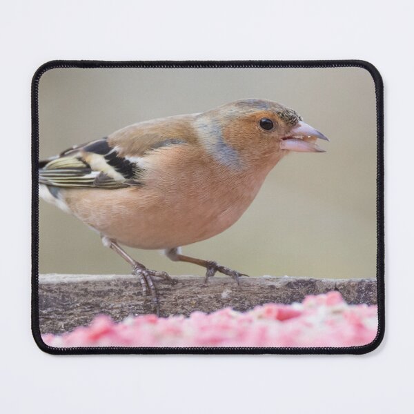 Item preview, Common Chaffinch designed and sold by LaurenTucker.