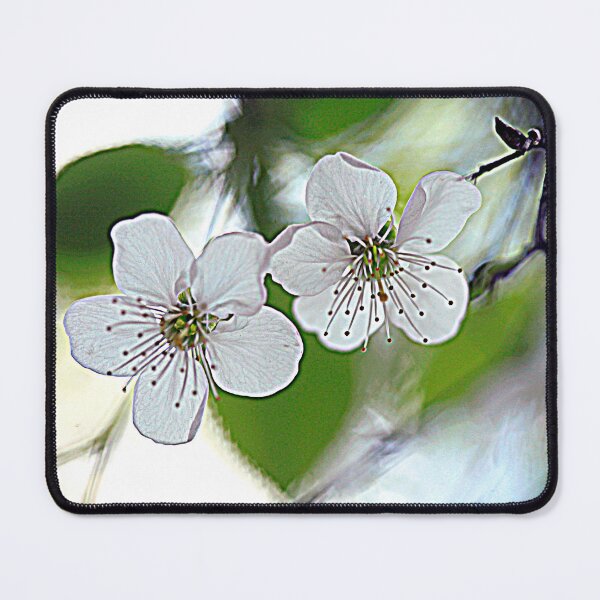 Item preview, White blossom in spring garden designed and sold by olena2552.
