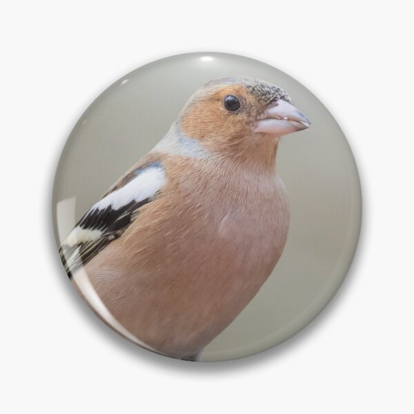 Item preview, Common Chaffinch designed and sold by LaurenTucker.