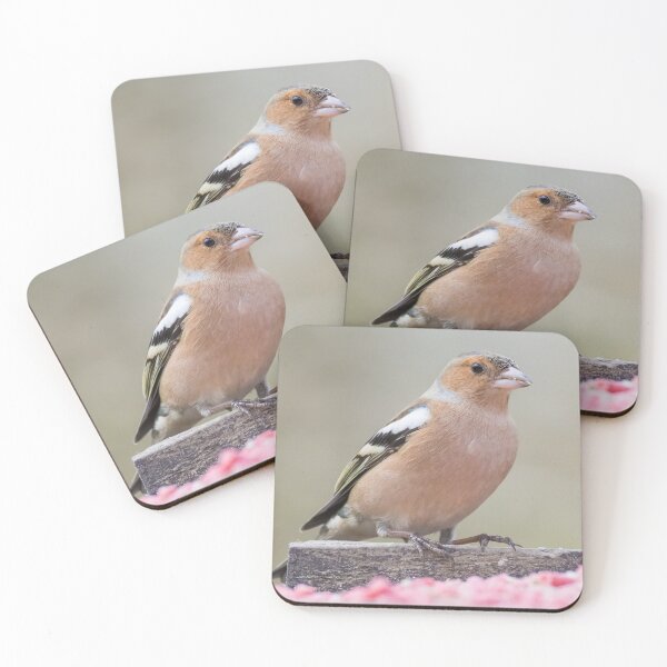 Item preview, Common Chaffinch designed and sold by LaurenTucker.