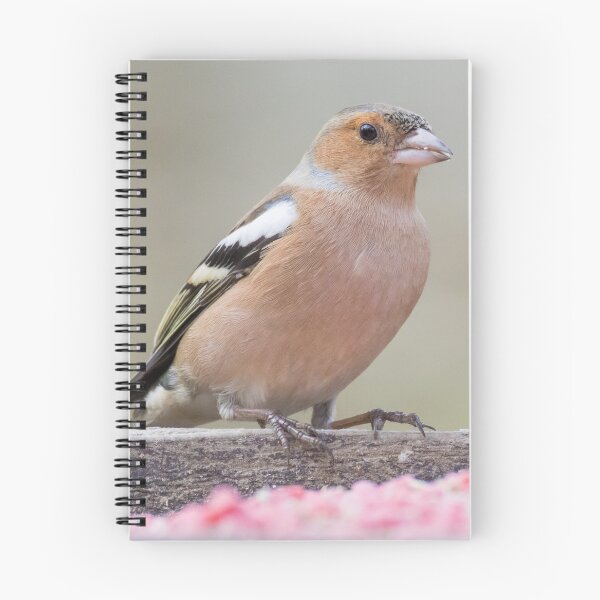 Item preview, Common Chaffinch designed and sold by LaurenTucker.