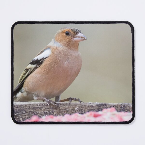 Item preview, Common Chaffinch designed and sold by LaurenTucker.
