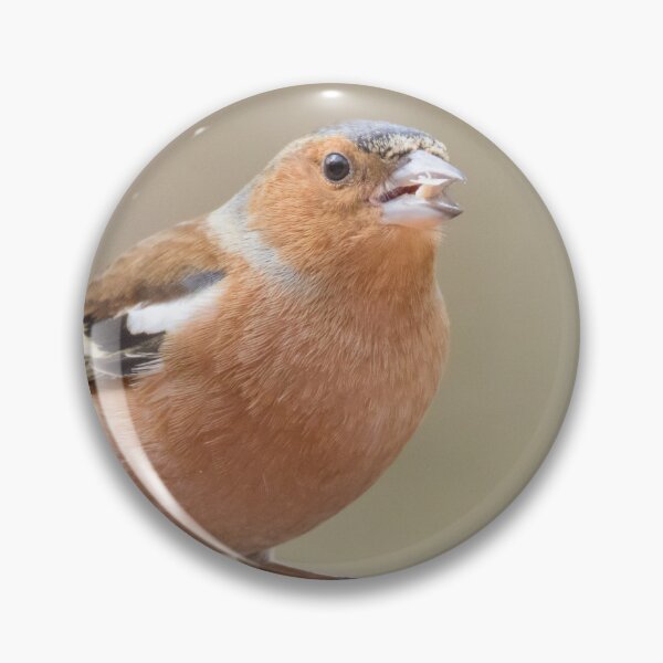 Item preview, Common Chaffinch designed and sold by LaurenTucker.