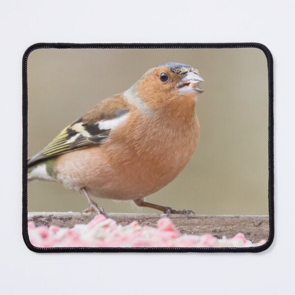 Item preview, Common Chaffinch designed and sold by LaurenTucker.