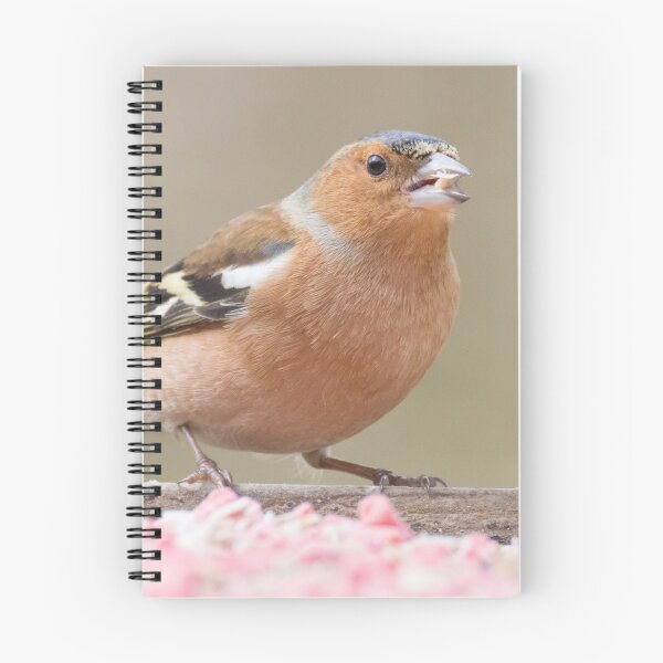 Item preview, Common Chaffinch designed and sold by LaurenTucker.