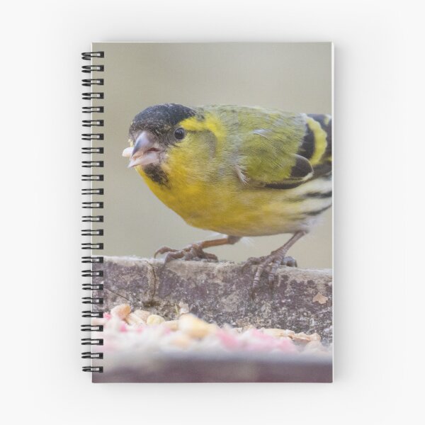 Item preview, Eurasian Siskin designed and sold by LaurenTucker.