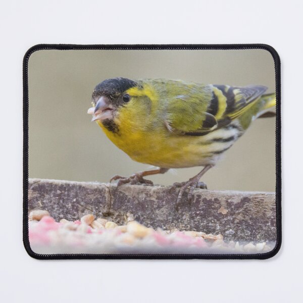 Item preview, Eurasian Siskin designed and sold by LaurenTucker.
