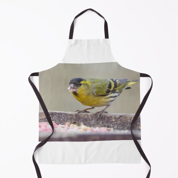 Item preview, Eurasian Siskin designed and sold by LaurenTucker.