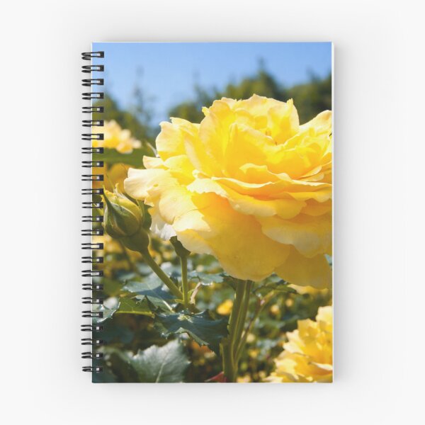 Item preview, Radiant Yellow Rose in a Summer Garden designed and sold by Dreamy Armine Art.