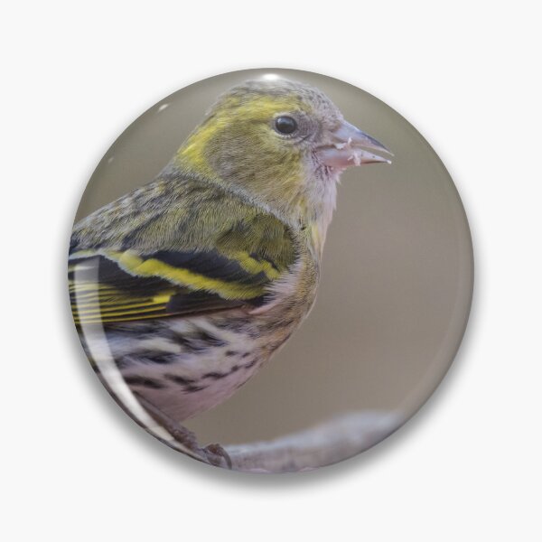 Item preview, Eurasian Siskin designed and sold by LaurenTucker.