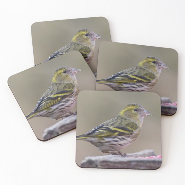 Item preview, Eurasian Siskin designed and sold by LaurenTucker.