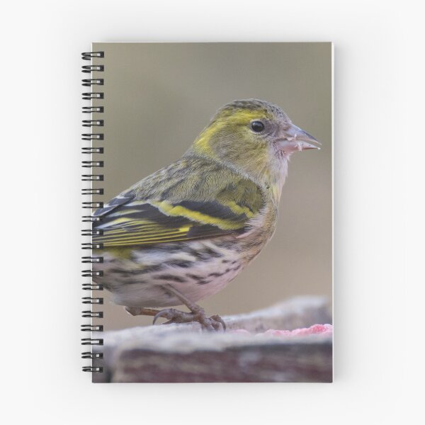 Item preview, Eurasian Siskin designed and sold by LaurenTucker.