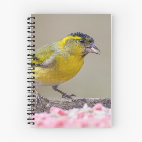 Item preview, Eurasian Siskin designed and sold by LaurenTucker.