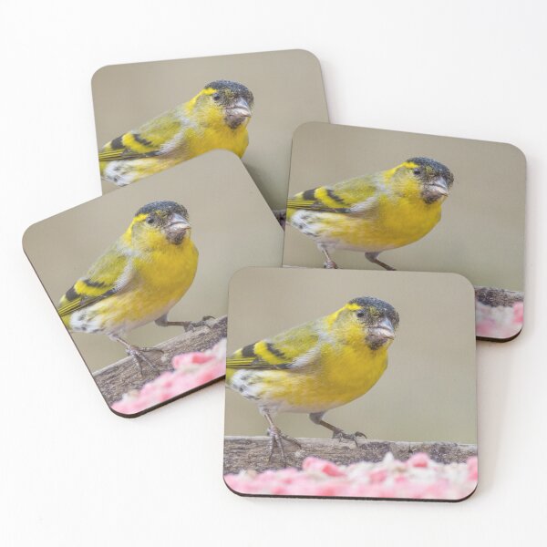 Item preview, Eurasian Siskin designed and sold by LaurenTucker.