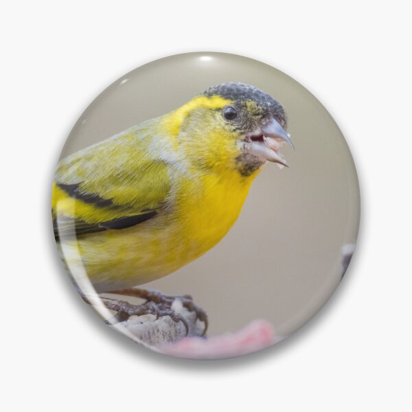Item preview, Eurasian Siskin designed and sold by LaurenTucker.