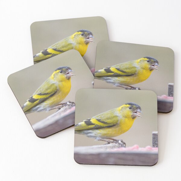 Item preview, Eurasian Siskin designed and sold by LaurenTucker.
