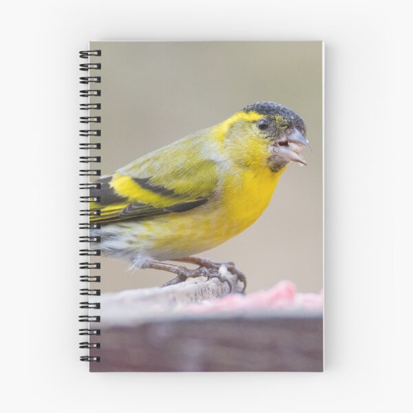 Item preview, Eurasian Siskin designed and sold by LaurenTucker.