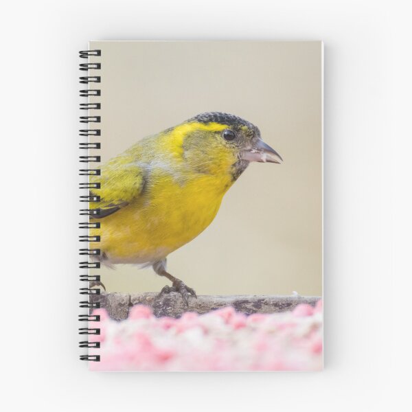 Item preview, Eurasian Siskin designed and sold by LaurenTucker.