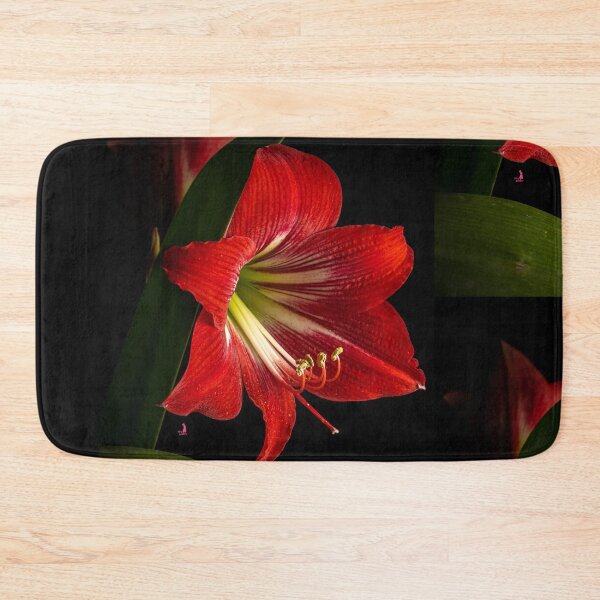 Item preview, Designed to last far beyond the season designed and sold by PINC RABBIT.