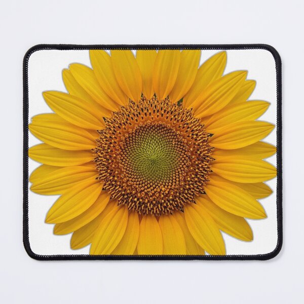 Item preview, Sunflower Bloom Icon v2 — Clean Vector 01 designed and sold by pumsquare.