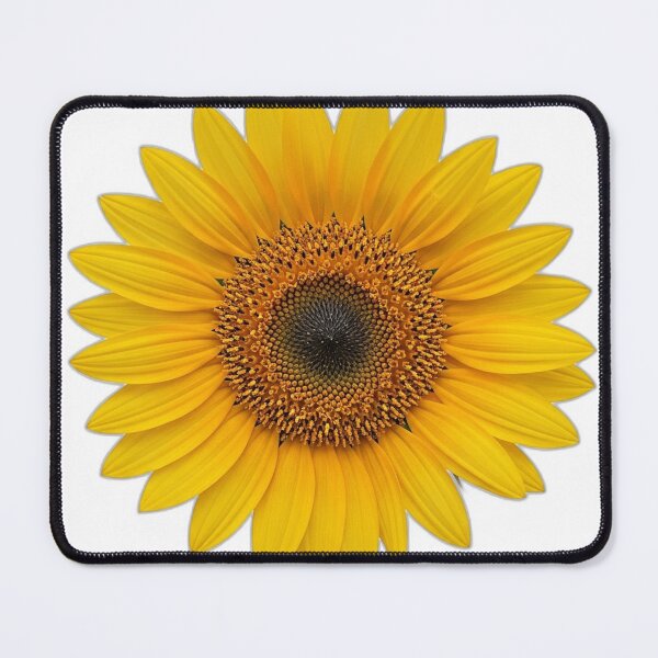 Item preview, Sunflower Bloom Icon v2 — Geometric Mandala 04 designed and sold by pumsquare.