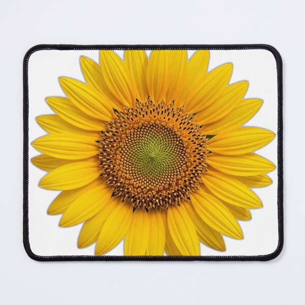 Item preview, Sunflower Bloom Icon v2 — Watercolor Shading 06 designed and sold by pumsquare.