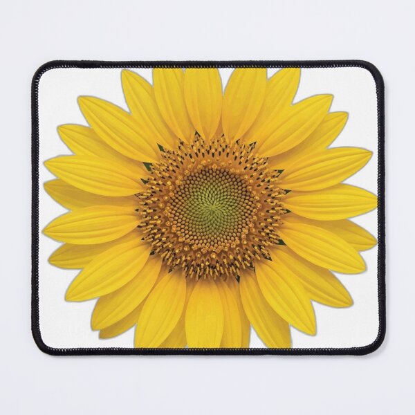Item preview, Sunflower Bloom Icon v2 — Minimal Bold 09 designed and sold by pumsquare.